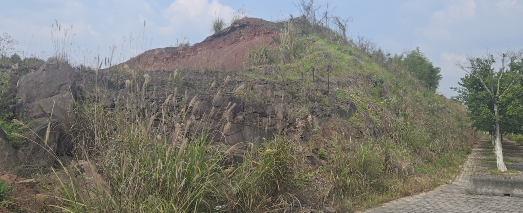 1751598280105924.png 758.png